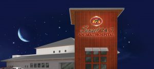 Sunset Animal Hospital Building