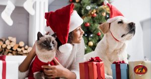 Holiday Traditions with Pets