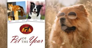 Pet of the Year Contest
