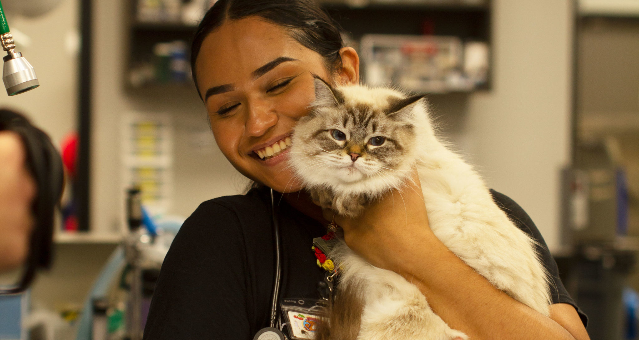 About Sunset Animal Hospital Veterinary Clinic in Houston, TX
