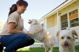 woman-playing-with-dog-at-boarding-facility